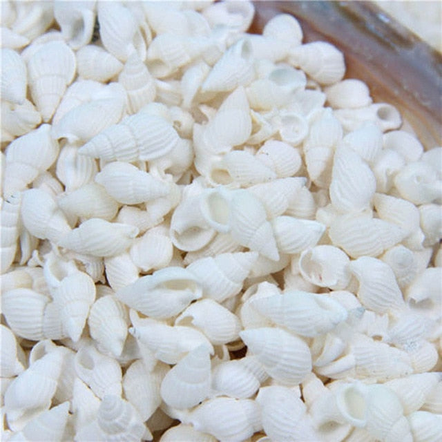 50/100PCS Natural conch shell Aquarium decoration mini Sea Beach Shell Conch Seashells DIY Crafts for party Home decor white