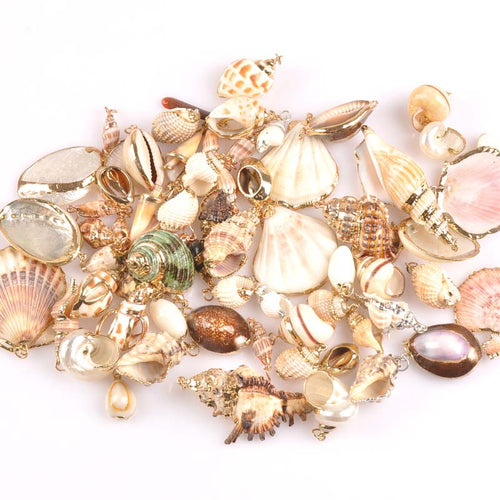 20-40mm mix Natural Shell Gold Plated for DIY handmade pendant SeaShells Home decoration 5pcs TRS0251